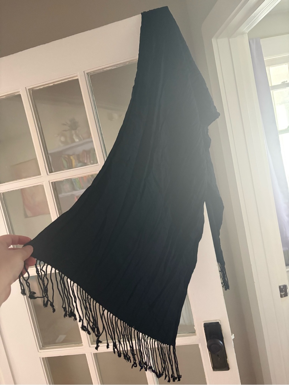 Black Fringe Women's Pashmina
